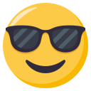 1_face_sunglasses